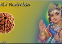 6 Mukhi Rudraksh Benefits in hindi