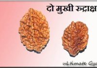 2 mukhi rudraksha benefits hindi