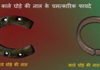 ghode ki naal ke fayde in hindi
