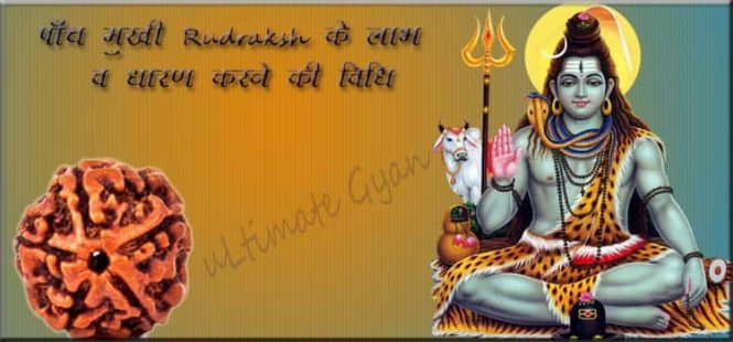 5 mukhi rudraksha ke labh