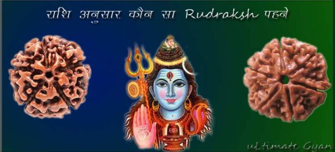 rashi anusar rudraksha