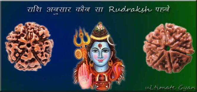 rashi anusar rudraksha