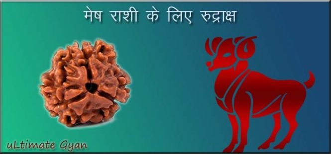 mesh rashi rudraksh